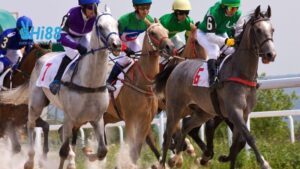 Cá Cược Đua Ngựa: Kinh Nghiệm Từ Chuyên Gia Hi88 1 Cá cược đua ngựa